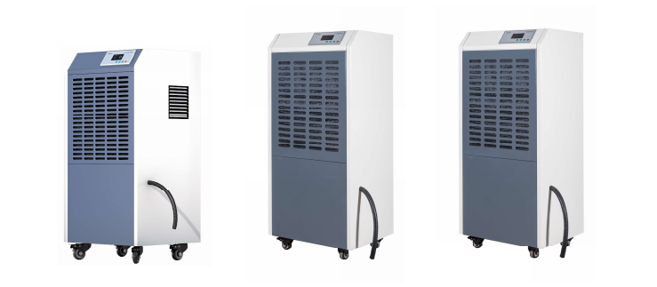 1770549084671396.jpg 1770549049860.jpg